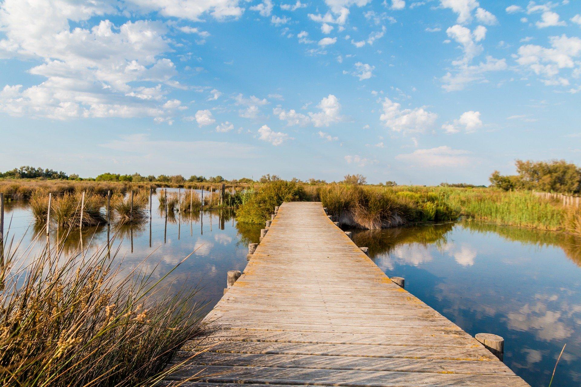Réserve Naturelle Nationale Des Marais Du Vigueirat Avis Week-end en Camargue : tout ce qu'il faut savoir ! Findweek